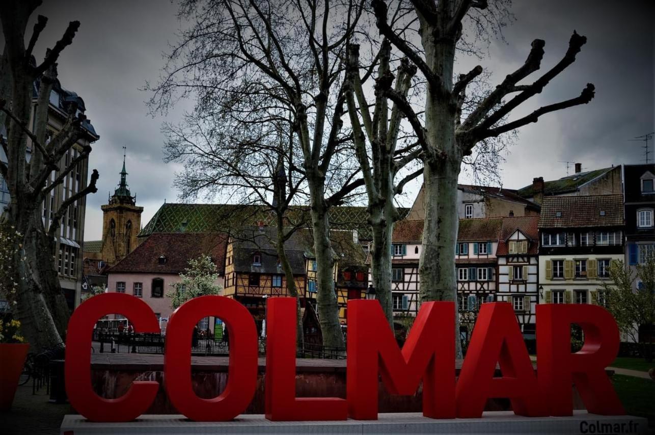 Charmant Appartement Cosy Porte De Colmar Sainte-Croix-en-Plaine Bagian luar foto